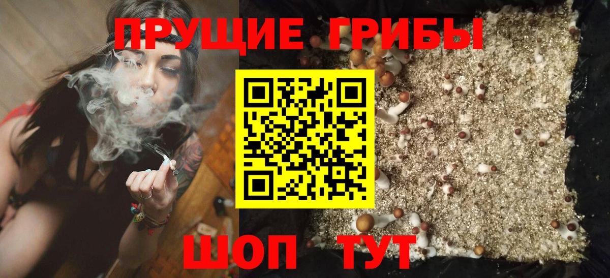 Ленинск-Кузнецкий  Галлюциногенные грибы Magic Shrooms  Вход с VPN 